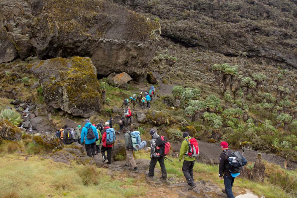8-day trek Lemosho Route Joining Group From June to October